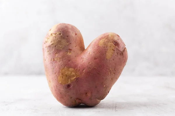 Уродливый картофель в форме сердца на сером фоне. Забавная, ненормальная концепция растительных и пищевых отходов — стоковое фото