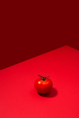 Kırmızı arka planda sunulan tek taze domates.