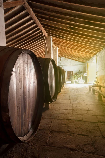 Red wine barrels stacked in the old cellar of the vinery in Spain, Alicante