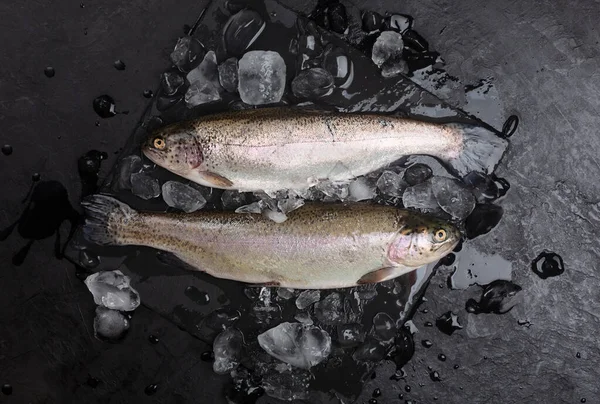 Two raw trouts with ice, top view with black background