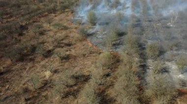 Orman ve arazi yangını. Orman yangınının en üst görüntüsü. 4k