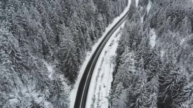 Kış yolu karlı ağaçlarla çevrili, hava manzaralı..
