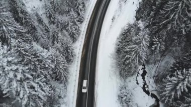 Kış ormanlarındaki dağ yolu, manzarası, araba turları, 4k.