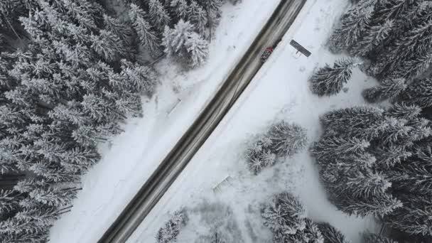 Winterweg omringd door besneeuwde bomen, uitzicht vanuit de lucht. — Stockvideo