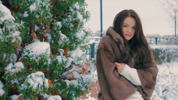 Brunett snygg tjej nära snö täckt träd under vintern, i brun päls kappa slow motion — Stockvideo