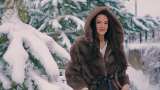 Brünettes Mädchen in braunem Pelzmantel bürstet im Winter Zeitlupe — Stockvideo