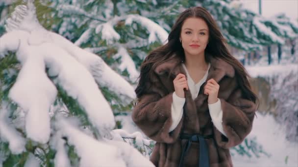 冬時間スローモーションで歩いて茶色の毛皮のコートのブラシでブルネットの少女 — ストック動画