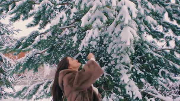 Brünette Frau schüttelt Schnee von winterlichen Kiefernzweigen in Zeitlupe — Stockvideo
