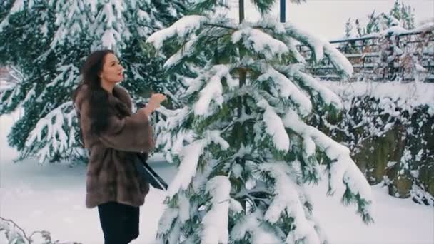Brunette woman shake snow from winter pine branches slow motion — Stock Video