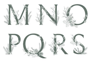 Xmas Monogram veya logolar mektuplar. M, N, O, P, Q, R, S Noel Kış bitkisel süslemeler ile büyük harf.