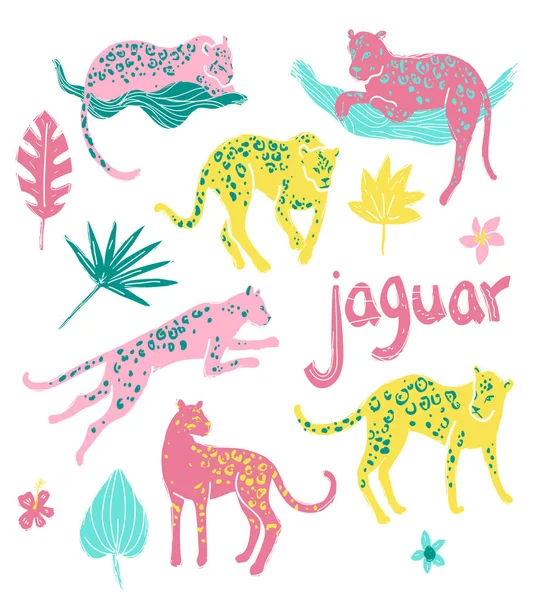 Kolekce Jaguarů Bude Bydlet Spí Skákání Tropic Volně Žijící Zvířata — Stockový vektor