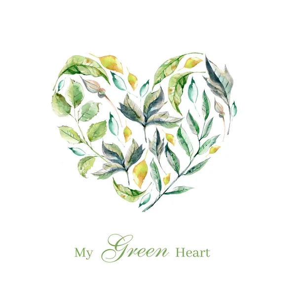 Sor Kézzel Festett Akvarell Növények Zöld Levelek Gyógynövények Pasztell Színek — Stock Fotó