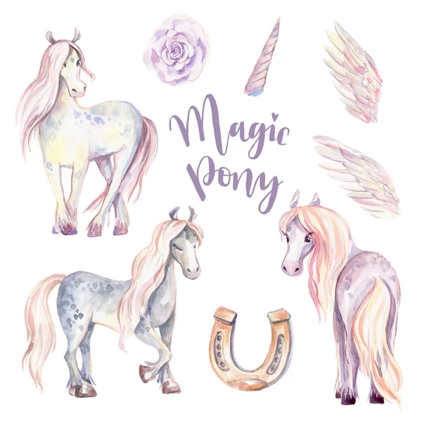 Magic Pony Pegasus Conjunto Unicórnio Ilustração Aquarela Belo Cavalo Isolado — Fotografia de Stock