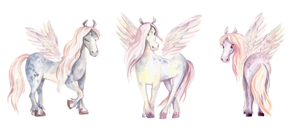 Magic Pegasuses Watercolor Illustration Beautiful Isolated Pony Wings Set Romantic — Stock Photo, Image