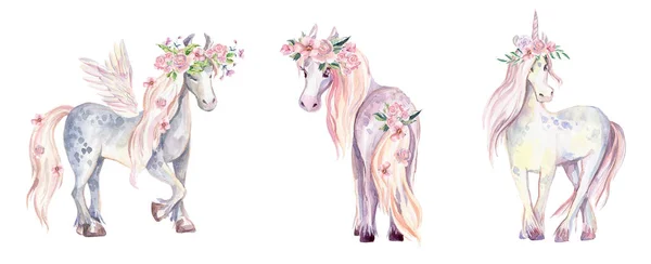 Magic Unicorn Pegasus Pony Watercolor Illustration Beautiful Isolated Pony Flowers — Stock Photo, Image