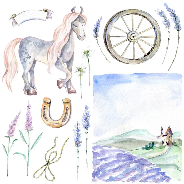 Romantic Provence Graphic Watercolor Collection Pastoral Landscape Horse Flowers Plants — Stock Photo, Image