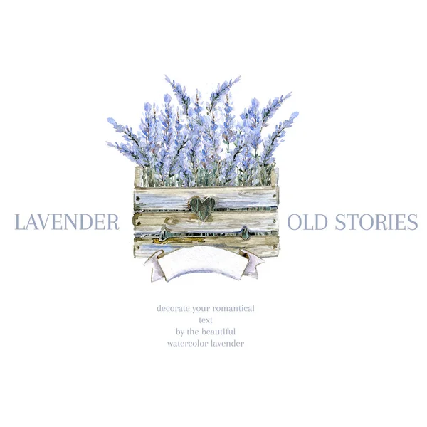 Acuarela Dibujada Mano Logo Lavanda Caja Madera Provence Con Lavanda — Foto de Stock