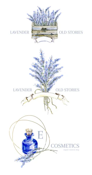 Watercolor Hand Drawn Lavender Logo Provence Collection Vial Bouquet Wooden — Stock Photo, Image