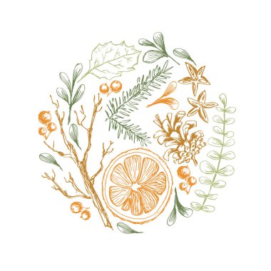 Vektör el Noel doğal bitkisel unsurlar ile yuvarlak illüstrasyon çizilmiş. Ökseotu, narenciye ve köknar ağacı dalları. 