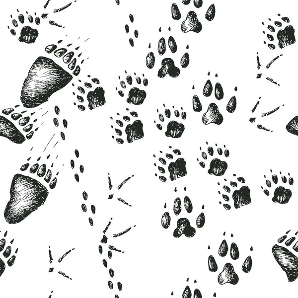 Patrón sin costura dibujado a mano vectorial con huellas de animales y aves de madera silvestre caminando — Vector de stock