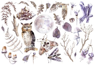 Watercolor mystical collection. Owls, crystal, butterflies, mushrooms and plants Brown and violet clipart