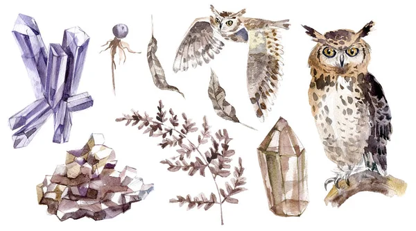 Watercolor Mystical Collection Owls Crystal Plants Brown Violet — Stock Photo, Image