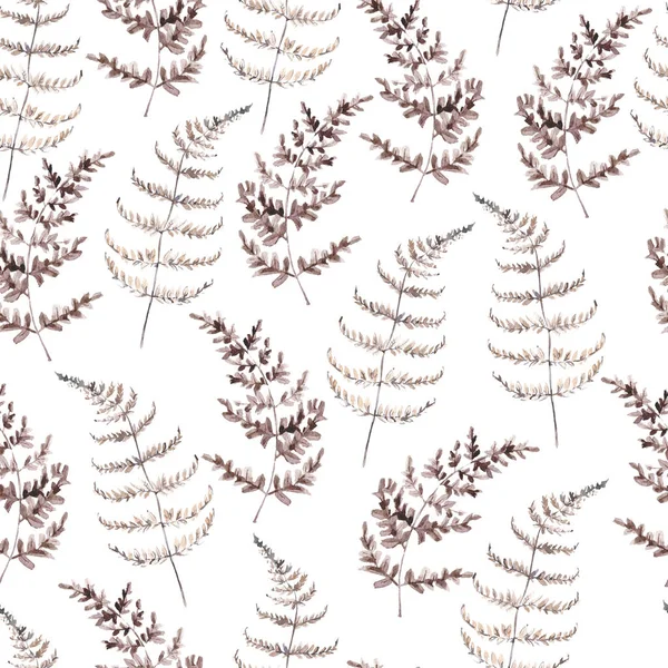 Watercolor seamless pattern with brown fern. Minimalist botanic — Stock Photo, Image