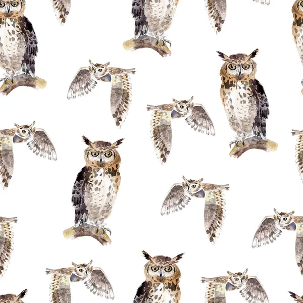 Watercolor seamless pattern with flying and sitting owls — Stock Photo, Image