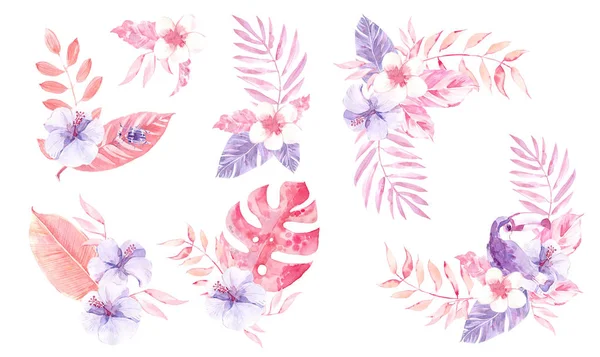 Aquarel tropische composities met Toucan, bloemen en bladeren. — Stockfoto