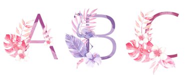 Suluboya El Çizilmiş tropik harfler monograms veya logo. Büyük Harf A, B, C, orman bitkisel süslemeleri ile. Palmiye ve monstera yaprakları, çiçekler ve flamingo
