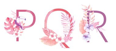 Suluboya El Çizilmiş tropik harfler monograms veya logo. Büyük harf P, Q, R orman bitkisel süslemeleri ile. Palmiye ve monstera yaprakları, çiçekler ve toucan.