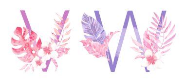 Suluboya El Çizilmiş tropik harfler monograms veya logo. Büyük harf V, W orman bitkisel süslemeleri ile. Palmiye ve monstera yaprakları, çiçekler ve dalları.