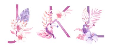 Suluboya El Çizilmiş tropik harfler monograms veya logo. Büyük harf J, K, L orman bitkisel süslemeleri ile. Palmiye ve monstera yaprakları, çiçekler ve toucan.