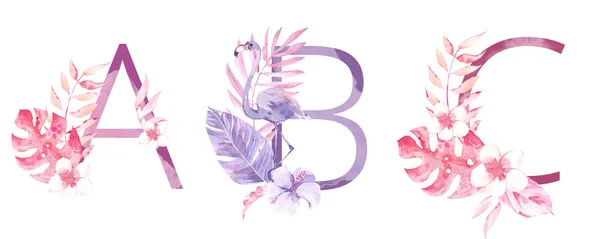 Aquarell handgezeichnete tropische Buchstaben Monogramme oder Logo. Großbuchstaben a, b, c, mit Dschungel-Kräuterdekorationen. Palmen- und Monsterblätter, Blumen und Flamingo — Stockfoto