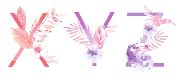 Aquarel hand getrokken Tropic letters monogrammen of logo. Hoofdletters X, Y, Z met jungle kruiden decoraties. Palm en Monstera blad, bloemen en Toucan. — Stockfoto