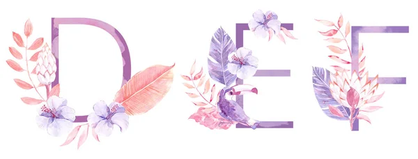 Watercolor Hand Drawn tropic letters monograms or logo. Uppercase D, E, F with jungle herbal decorations. Palm and monstera leaves, flowers and toucan — Stock Photo, Image