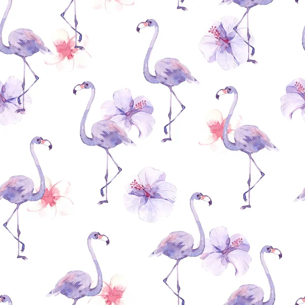 Akvarell Sömlöst Mönster Med Tropiska Fåglar Flamingos Och Exotiska Blommor — Stockfoto
