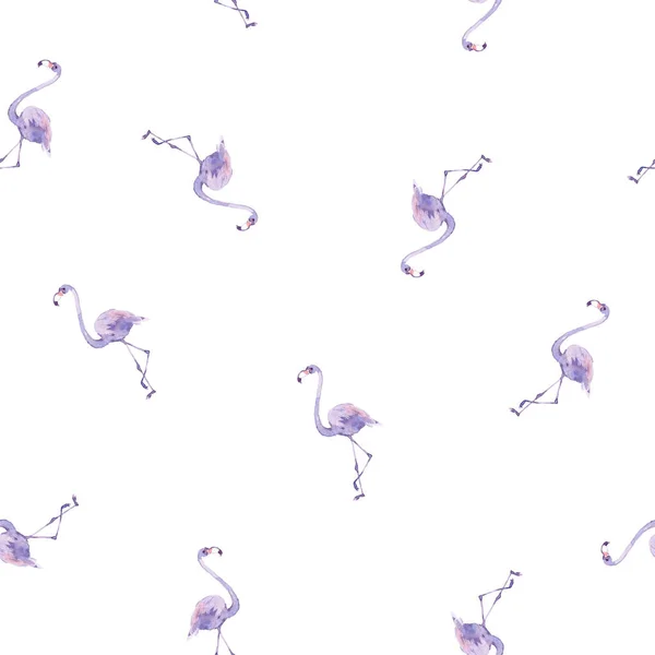 水彩无缝图案与热带鸟类萤火虫 粉色和紫色 简单构图 — 图库照片