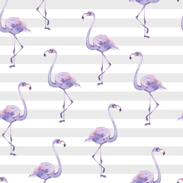 Çizgili Arka Planda Tropik Kuşların Flamingolarının Olduğu Suluboya Desenleri Pembe — Stok fotoğraf