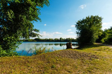 Ağaçlarla çerçevelenmiş berrak suyu olan sessiz bir göl ve kıyıda eski bir ağaç kütüğü. Manzara huzur veriyor ve yürüyüşlere, doğa deneyimlerine ve rahatlamaya davet ediyor..