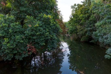 Sessiz bir nehir sık yaprakların arasından süzülür. Sudaki yansımalar ve yumuşak sabah ışığı bu doğa sahnesinin huzurlu havasını arttırır..