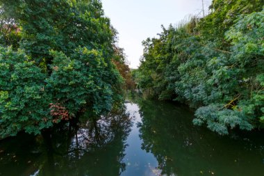 Yapraklardan oluşan bir gölgeliğin altında sakin bir nehir akıyor. Sabah ışığı sonbahar renginin ilk dokunuşlarını vurgular.