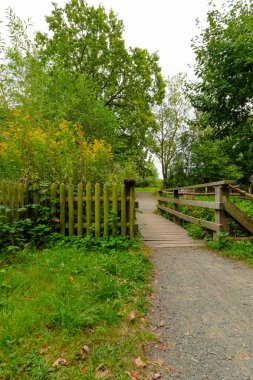 Korkuluklu küçük tahta bir köprünün dikey format fotoğrafı ve doğa yoluna çıkan bitişik bir çit. Yoğun bitki örtüsü ve ağaçlarla çevrili bir doğa koruma alanı..