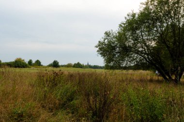 Geniş, kuru otlar ve çalılarla dolu doğal bir çayır. Uzakta, bulutlu gökyüzünün altındaki ağaçlar tarafından çerçevelenmiş sivri uçlu kulesi olan bir kilise görülebilir.