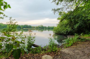 Ön planda bitkiler ve yoğun ağaçlarla çerçevelenmiş geniş bir göl ile göl manzarası. Durgun su, akşam gökyüzünün bulutlarını yansıtır..