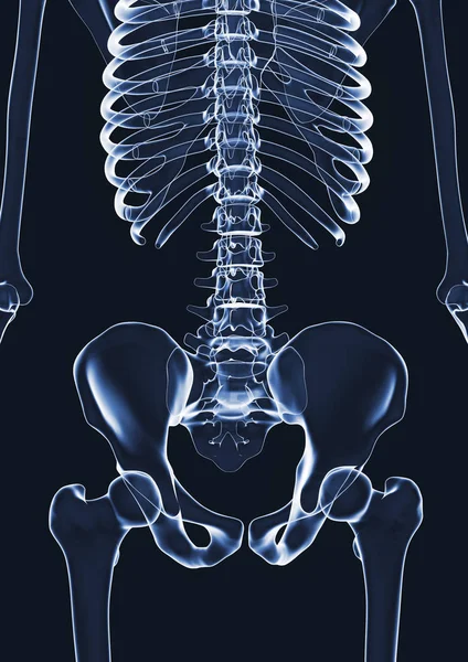 Ray Skeleton Illustration Copy Space — Stock Photo, Image