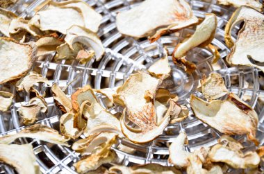 mantar kurutma dryier