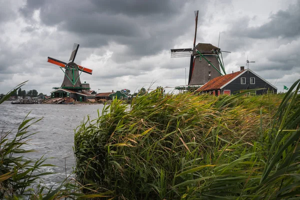 Mills Västra Nederländerna — Stockfoto