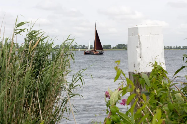 Sjö Västra Nederländerna — Stockfoto