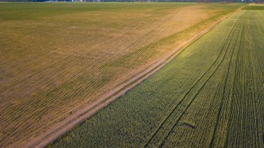 ekili mahsulünün havadan görünümü.